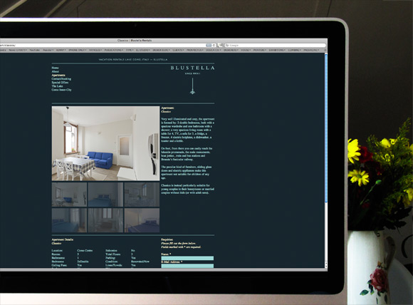 Blustella Rentals. Website & Identity By El Studio