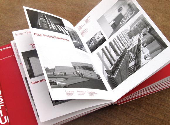 BMJ Centenary Brochure